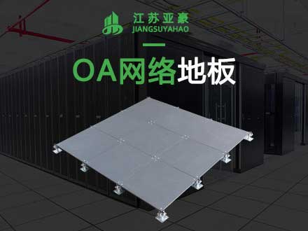 OA網(wǎng)絡(luò)防靜電地板
